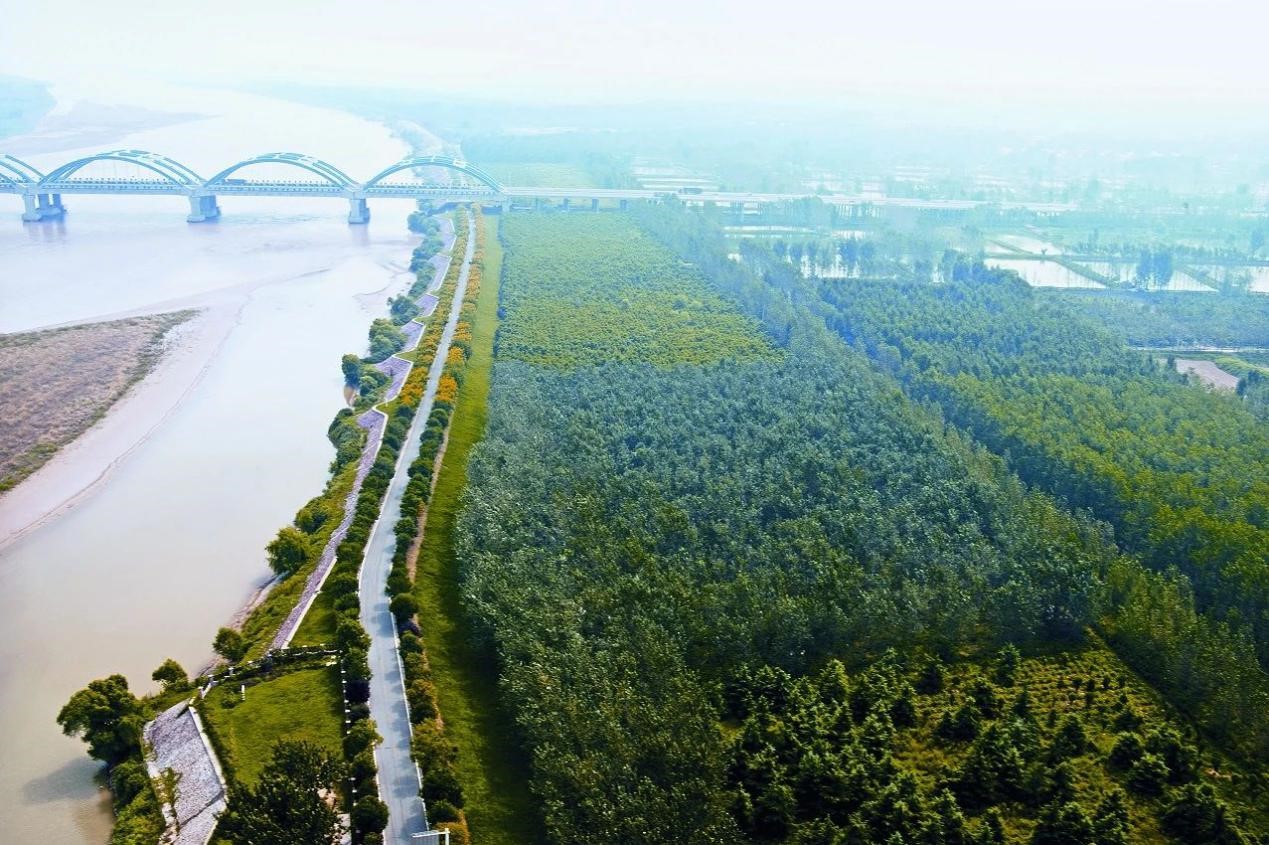 郑州黄河生态廊道图片